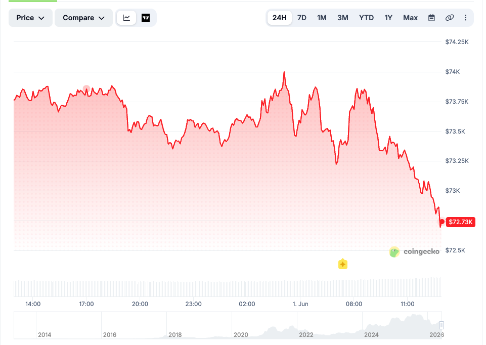 Bitcoin Price Chart 24H. Source: CoinGecko