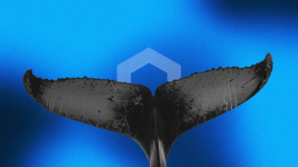 LINK Consolidates at $8.76 as Chainlink Whale Activity Hits 5-Month High