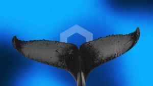 LINK Consolidates at $8.76 as Chainlink Whale Activity Hits 5-Month High