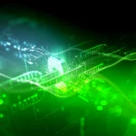 Robinhood Chain Halts Block Production for 14 Minutes as Transactions Get Stuck
