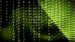 15-Institution Study Finds No Crypto Allocation Cuts During 50% Drawdown