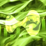 Hyperliquid Targets Options as Team Says Public Blockchains Could Challenge CME and ICE